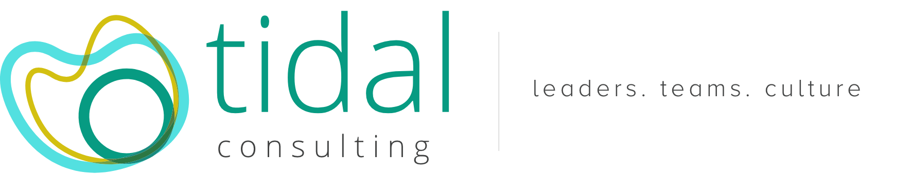Tidal Consulting — leaders. teams. culture.